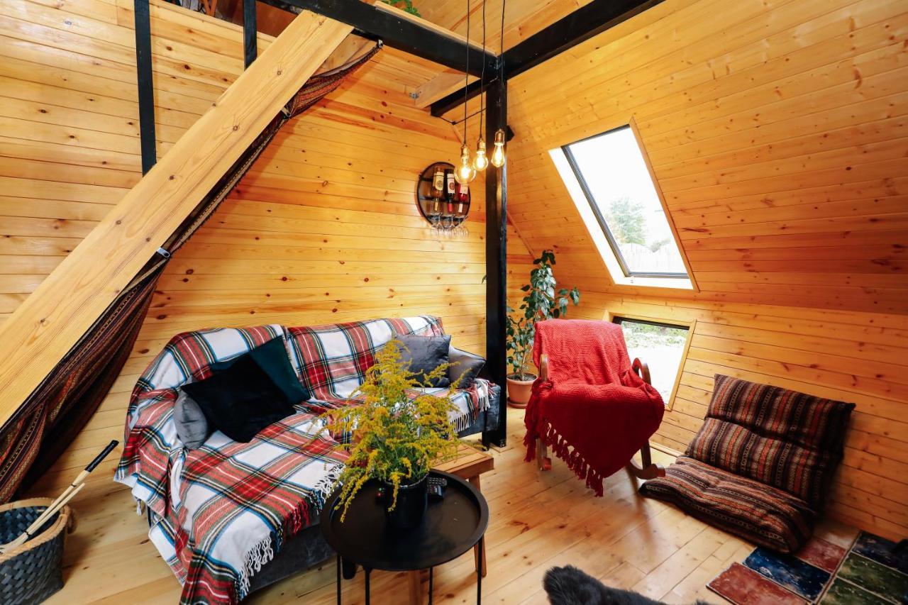 Wooden Cottage "Green House" In Bakuriani Dış mekan fotoğraf